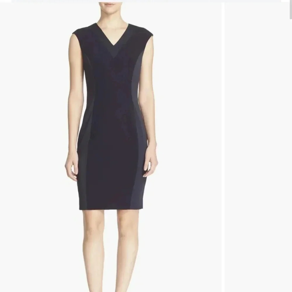 Ted Baker zizid dress